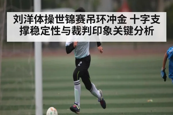 刘洋体操世锦赛吊环冲金 十字支撑稳定性与裁判印象关键分析